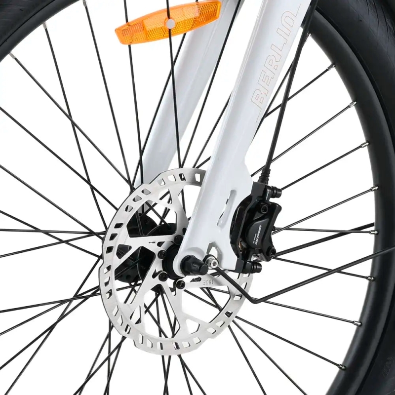 Bicicleta eléctrica cargo Youin Berlin Pro