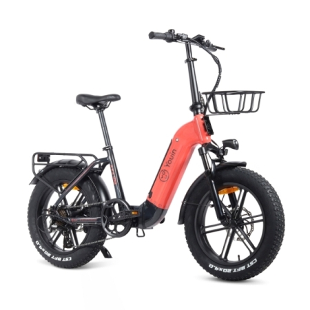 Bicicleta eléctrica Fat Bike plegable Youin Luxor