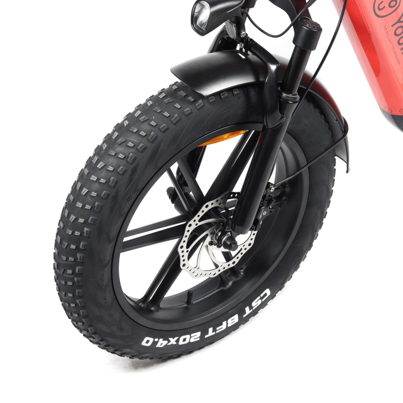 Bicicleta eléctrica Fat Bike plegable Youin Luxor