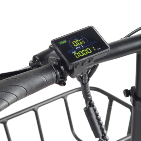 Bicicleta eléctrica Fat Bike plegable Youin Luxor