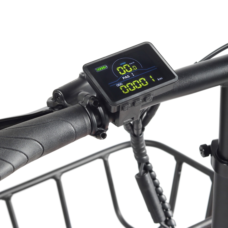 Bicicleta eléctrica Fat Bike plegable Youin Luxor