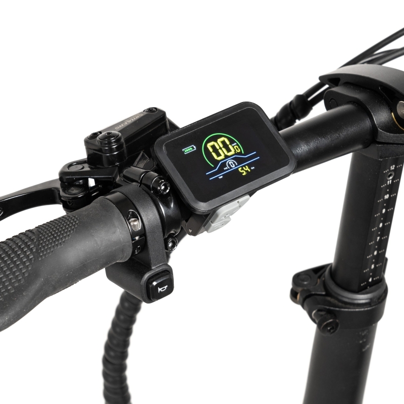 Bicicleta eléctrica Fat Bike plegable Youin Porto