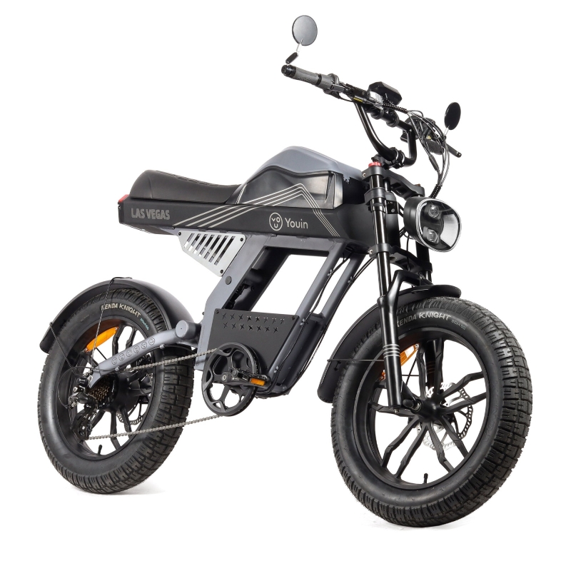 Bicicleta eléctrica Fat Bike Youin Las Vegas