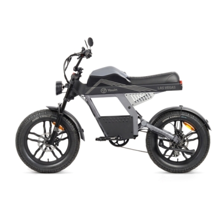 Bicicleta eléctrica Fat Bike Youin Las Vegas