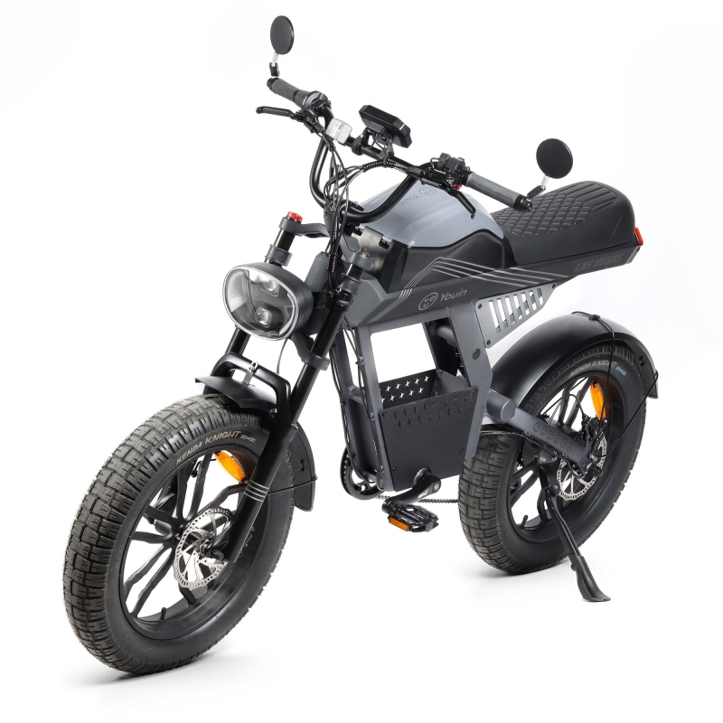 Bicicleta eléctrica Fat Bike Youin Las Vegas