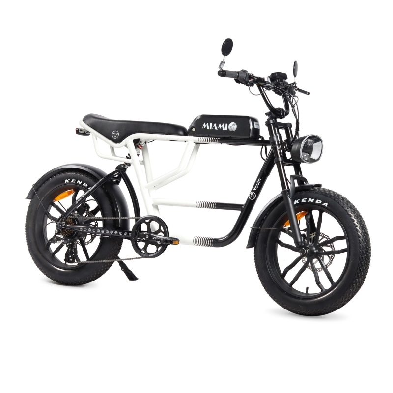 Bicicleta eléctrica Fat Bike Youin Miami