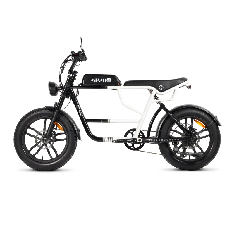 Bicicleta eléctrica Fat Bike Youin Miami