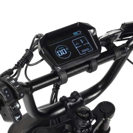 Bicicleta eléctrica Fat Bike Youin Miami