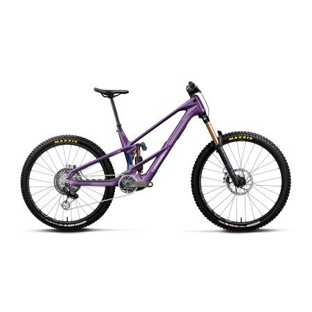 WILD LT M-LTD RS MULLET 2027