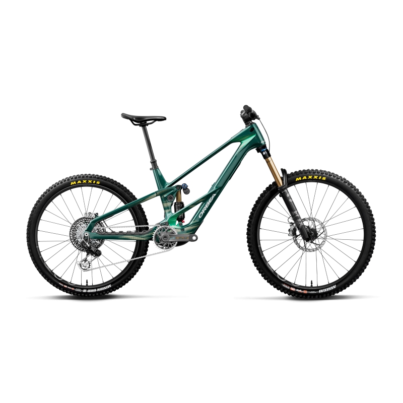 WILD LT M-LTD RS MULLET 2027